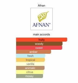 Afnan 9 PM Rebel